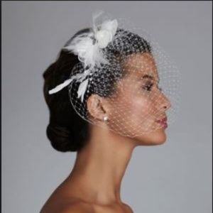 Netted Bridal Clip with Feather and Pearl Spray